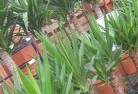 Moormbool Westplant-nursery-10.jpg; ?>